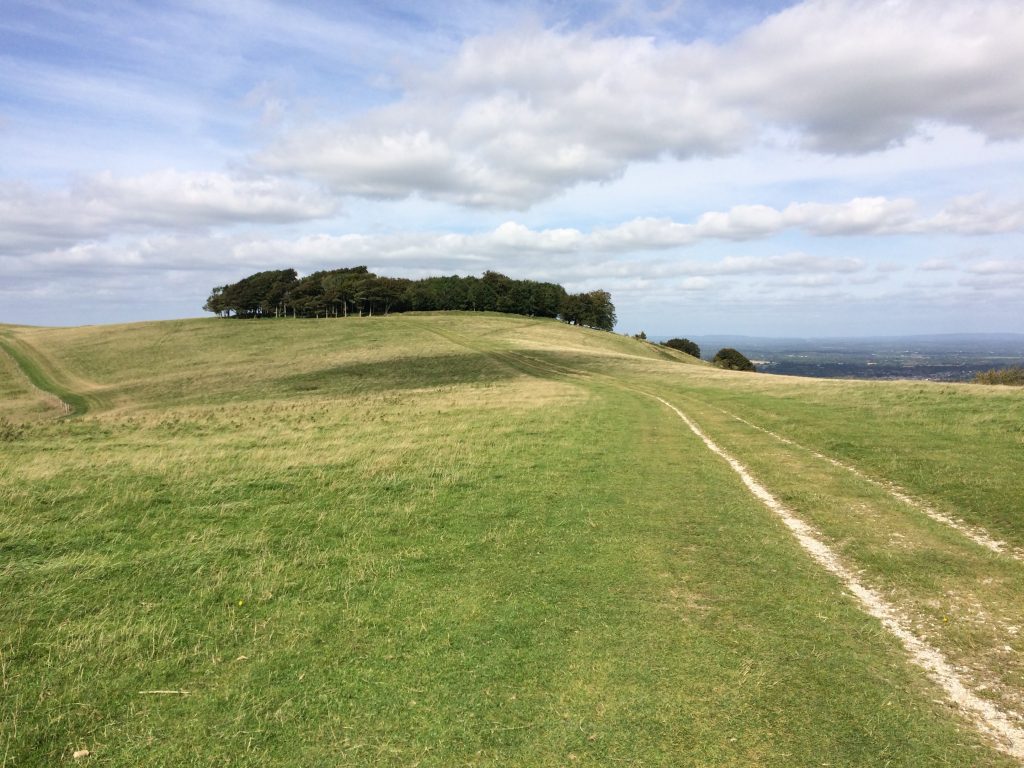 Chanctonbury Ring