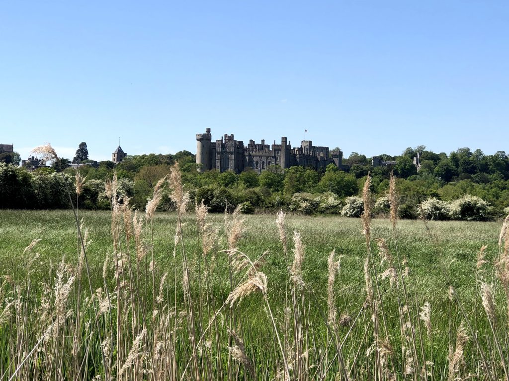 Arundel Park