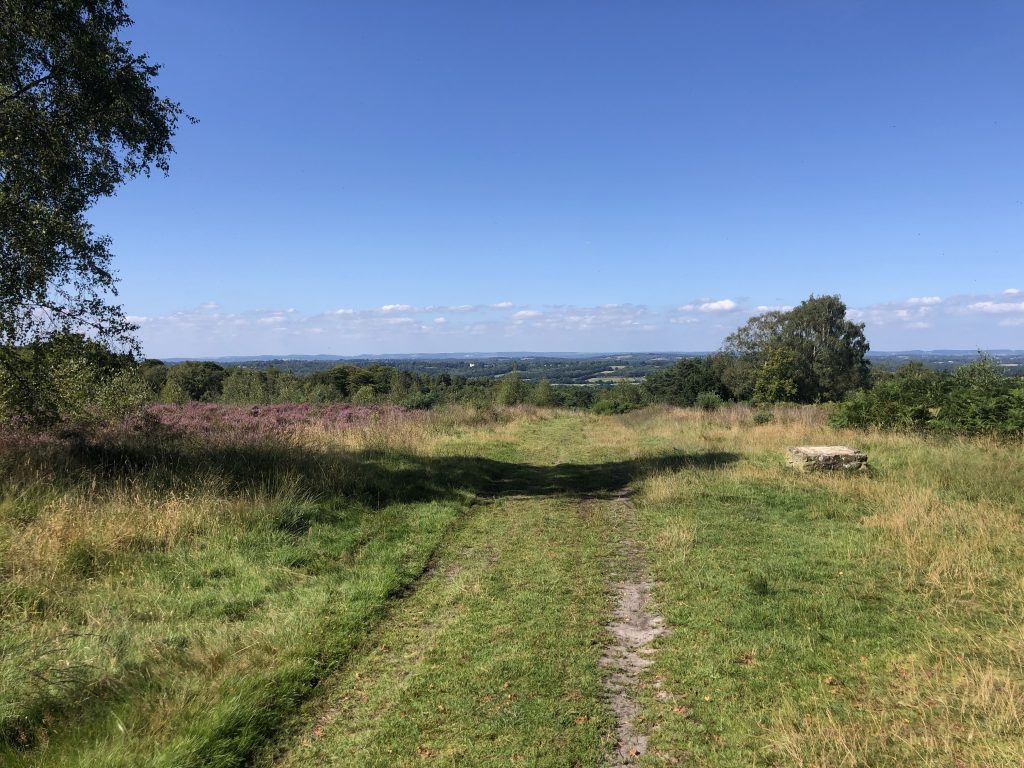 Ashdown Forest