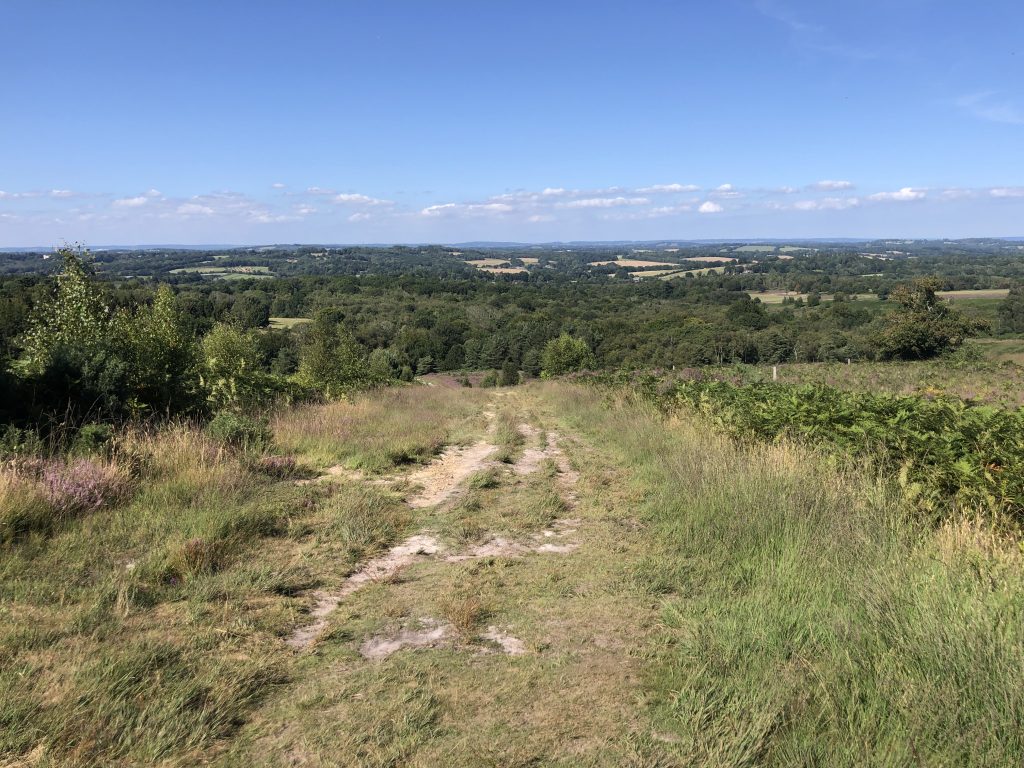Ashdown Forest