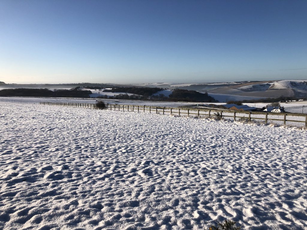 Jack & Jill Windmills