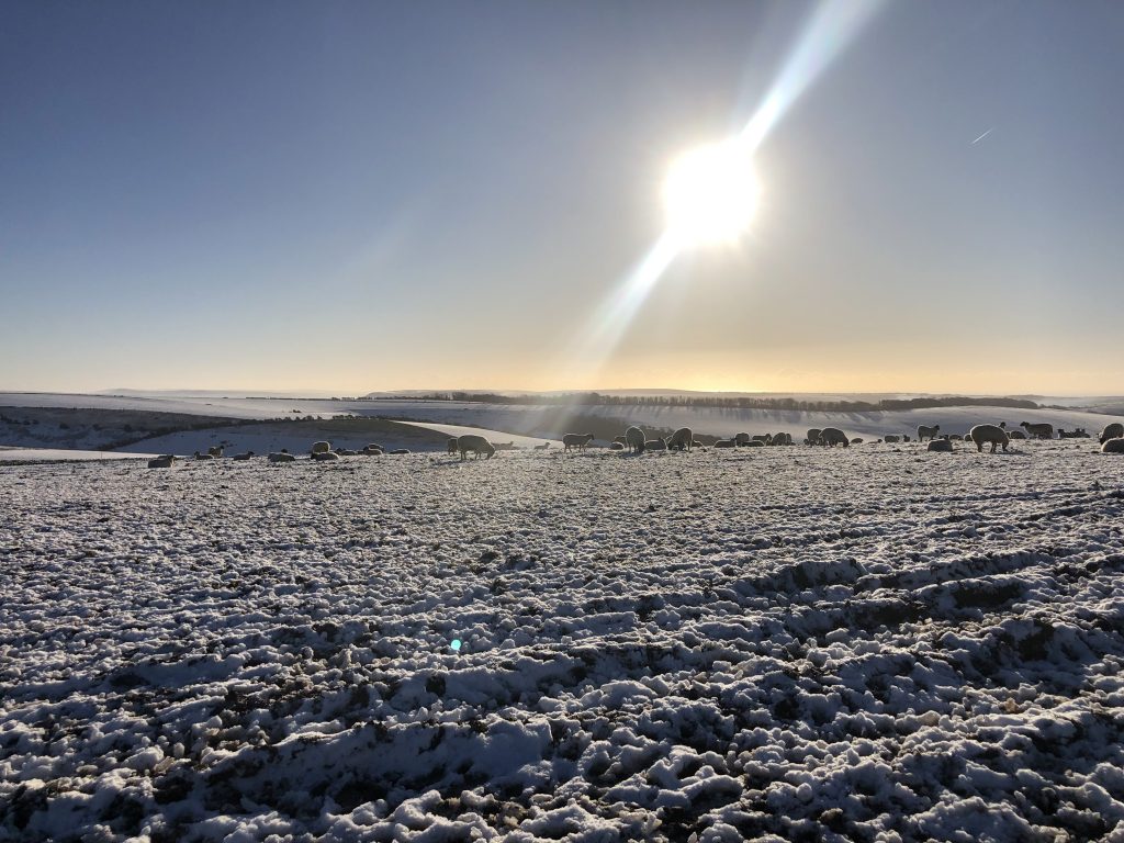 Jack & Jill Windmills
