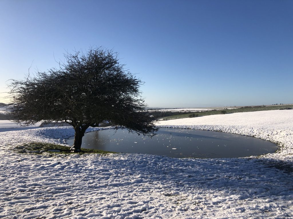Jack & Jill Windmills